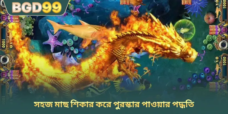 সহজ মাছ শিকার করে পুরস্কার পাওয়ার পদ্ধতি