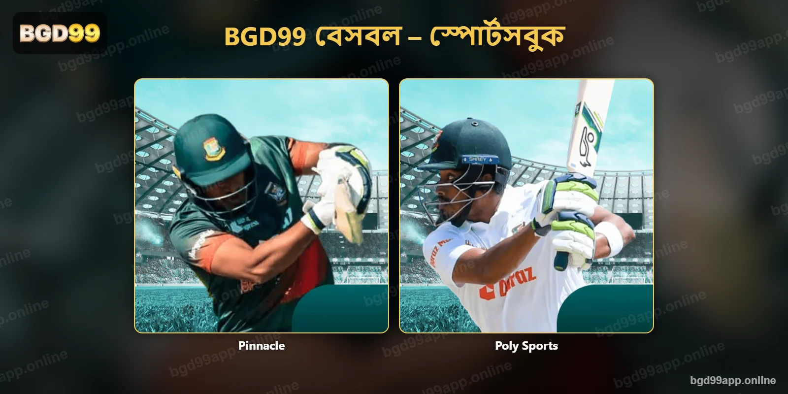 এ বেসবল বাজির স্পোর্টসবুক – Pinnacle ও Poly Sports